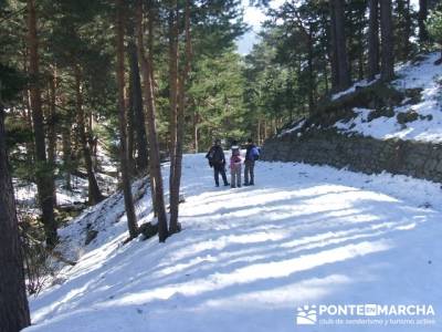 Camino Schmidt - Sierra de Guadarrama; Grupos pequeños; gente vip